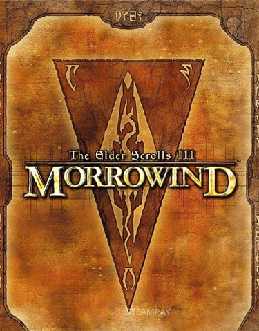 Купить The Elder Scrolls III Morrowind Game of the Year Edition