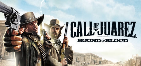 Call of juarez bound in blood вылетает