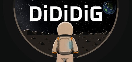 Купить DiDiDiG