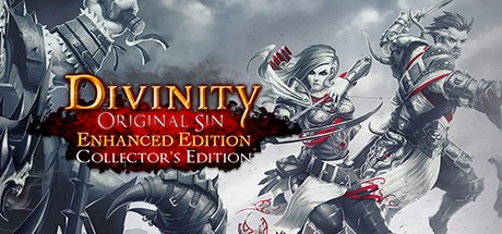 Купить Divinity: Original Sin Enhanced Edition - Collector's Edition