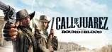 Call of Juarez 2: Bound in Blood