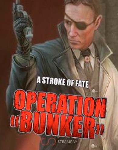 Купить A Stroke of Fate: Operation Bunker