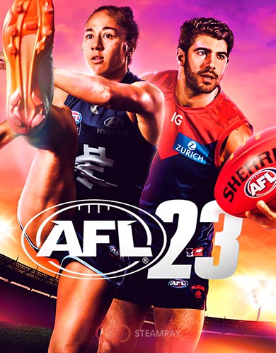 Купить AFL 23