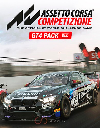 Купить Assetto Corsa Competizione GT4 Pack