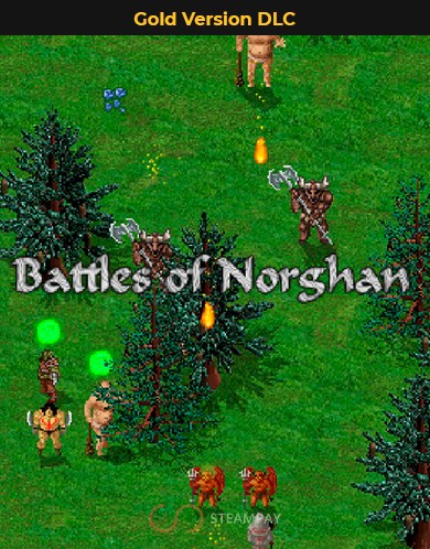 Купить Battles of Norghan Gold Version DLC