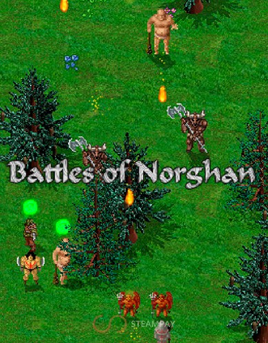 Купить Battles of Norghan