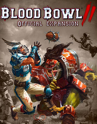Купить Blood Bowl II - Official Expansion