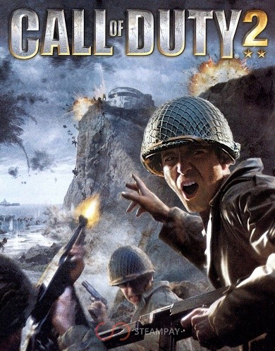 Купить Call of Duty 2