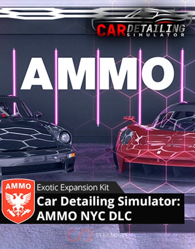 Купить Car Detailing Simulator - AMMO NYC DLC