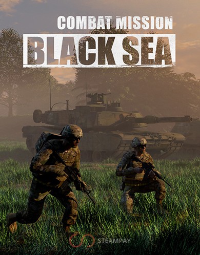 Купить Combat Mission Black Sea