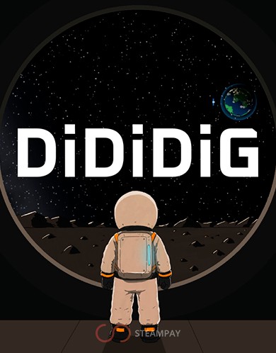 Купить DiDiDiG