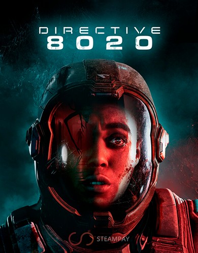 Купить Directive 8020