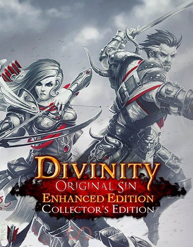 Купить Divinity: Original Sin Enhanced Edition - Collector's Edition