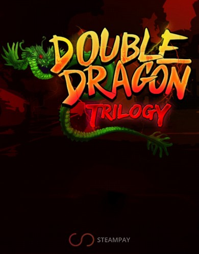 Купить Double Dragon Trilogy