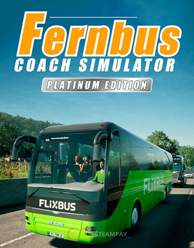 Купить Fernbus Simulator – Platinum Edition