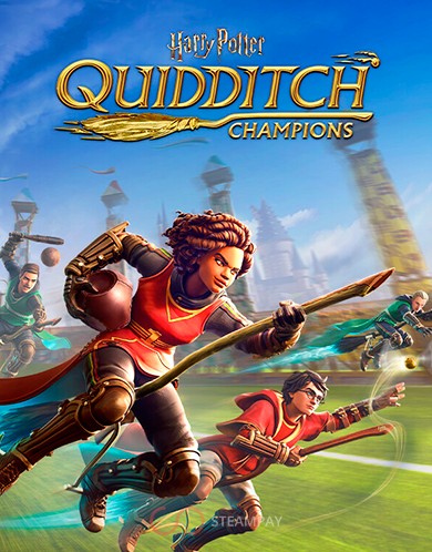 Купить Harry Potter: Quidditch Champions