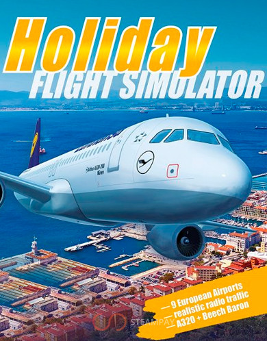 Купить Holiday Flight Simulator