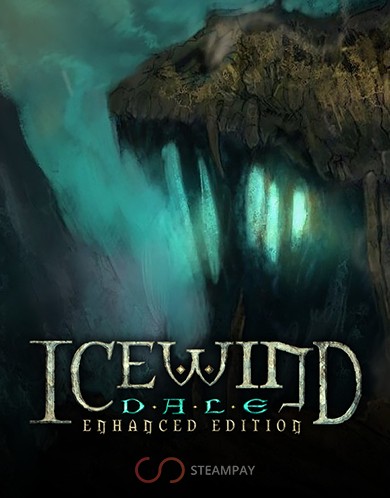 Купить Icewind Dale: Enhanced Edition