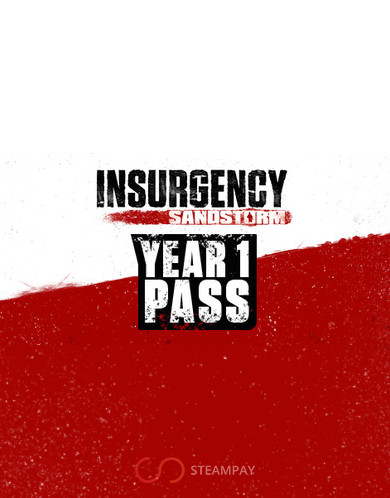 Купить Insurgency: Sandstorm - Year 1 Pass