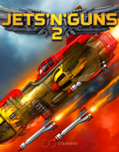 Купить Jets'n'Guns 2