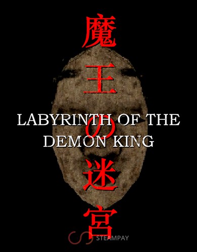 Купить Labyrinth Of The Demon King