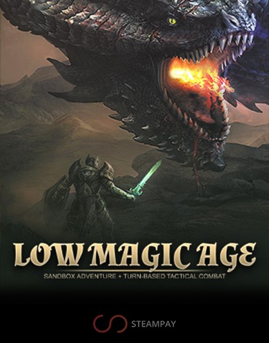 Купить Low Magic Age