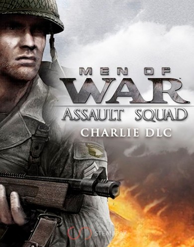 Купить Men of War: Assault Squad - MP Supply Pack Charlie