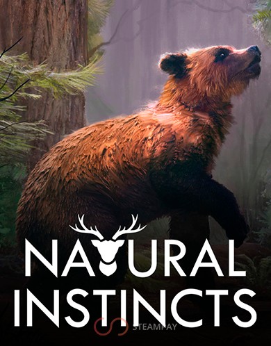 Купить Natural Instincts: European Forest