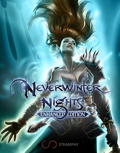 Купить Neverwinter Nights: Enhanced Edition