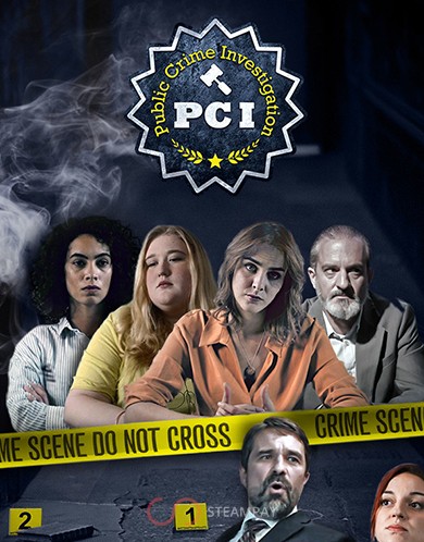 Купить PCI Public Crime Investigation