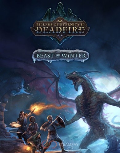 Купить Pillars of Eternity II - Beast of Winter