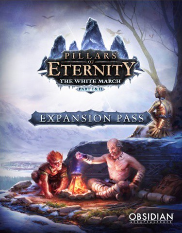 Купить Pillars of Eternity - The White March Expansion Pass