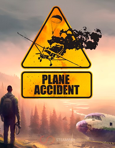 Купить Plane Accident
