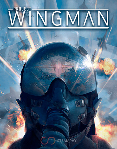 Купить Project Wingman