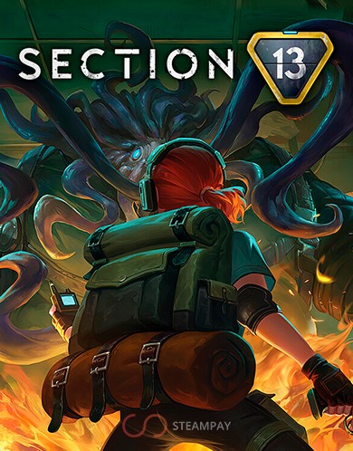 Купить Section 13