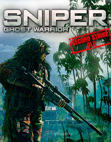 Купить Sniper: Ghost Warrior - Second Strike