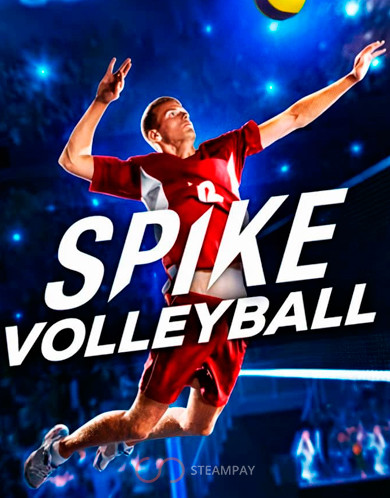 Купить Spike Volleyball