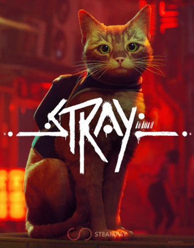 Купить Stray