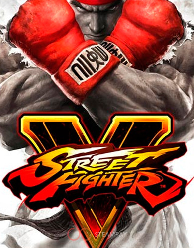 Купить Street Fighter V