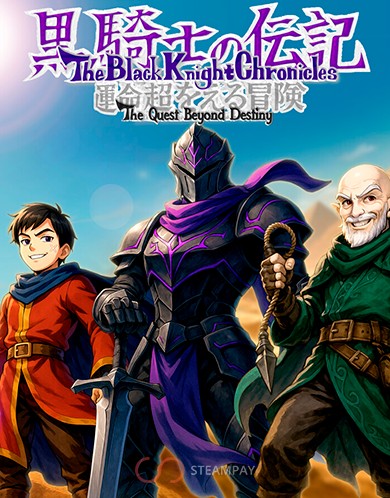 Купить The Black Knight Chronicles - The Quest Beyond Destiny