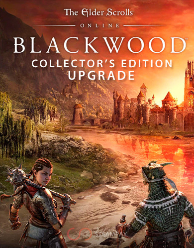 Купить The Elder Scrolls Online Blackwood Collector's Edition Upgrade