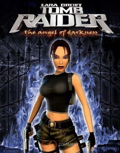 Купить Tomb Raider VI The Angel of Darkness