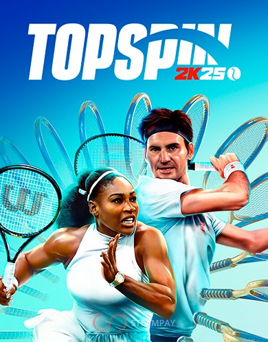 Купить TopSpin 2K25