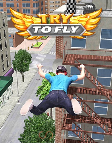Купить Try to Fly