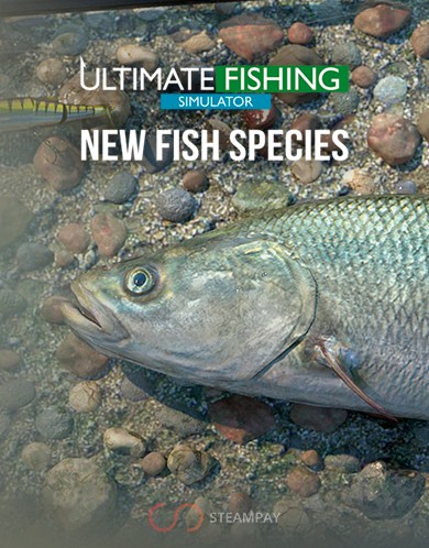 Купить Ultimate Fishing Simulator - New Fish Species