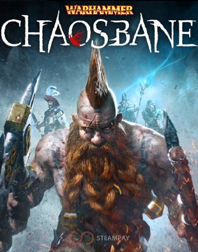 Купить Warhammer: Chaosbane Magnus Edition
